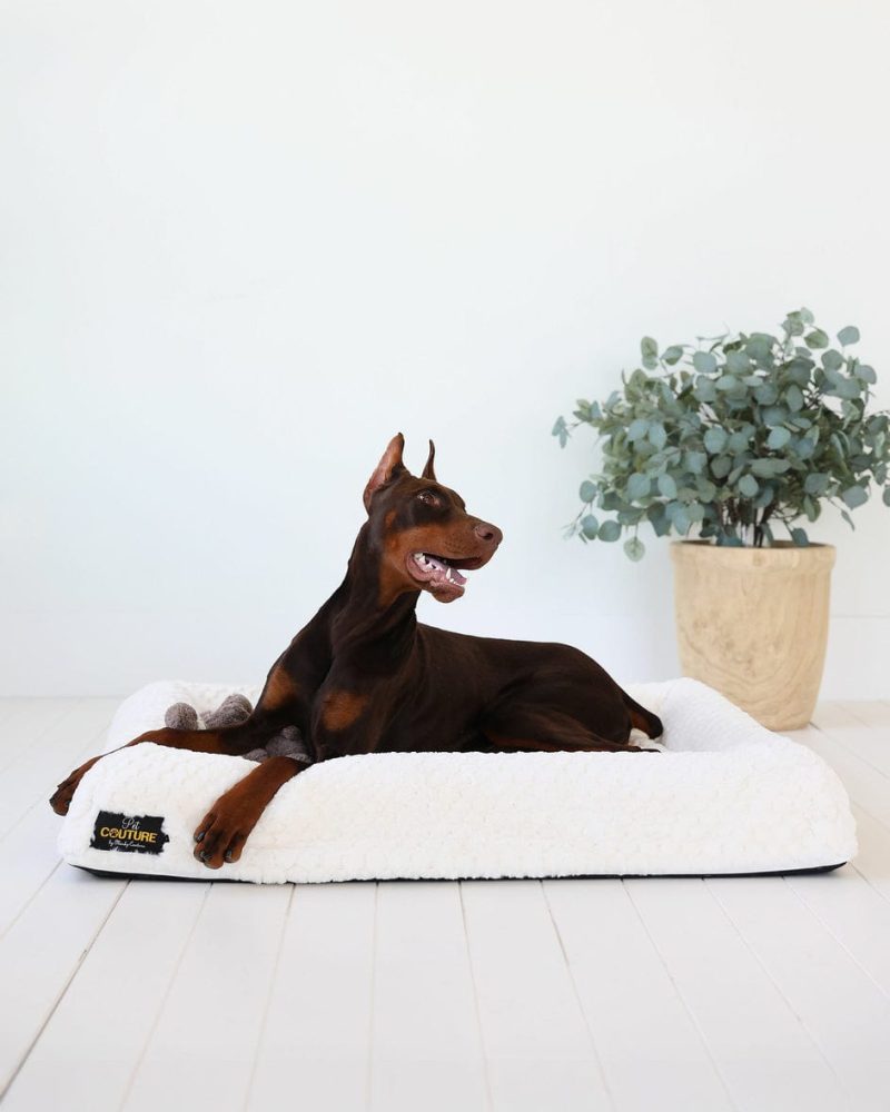 Cream Honeycomb Pet Bed