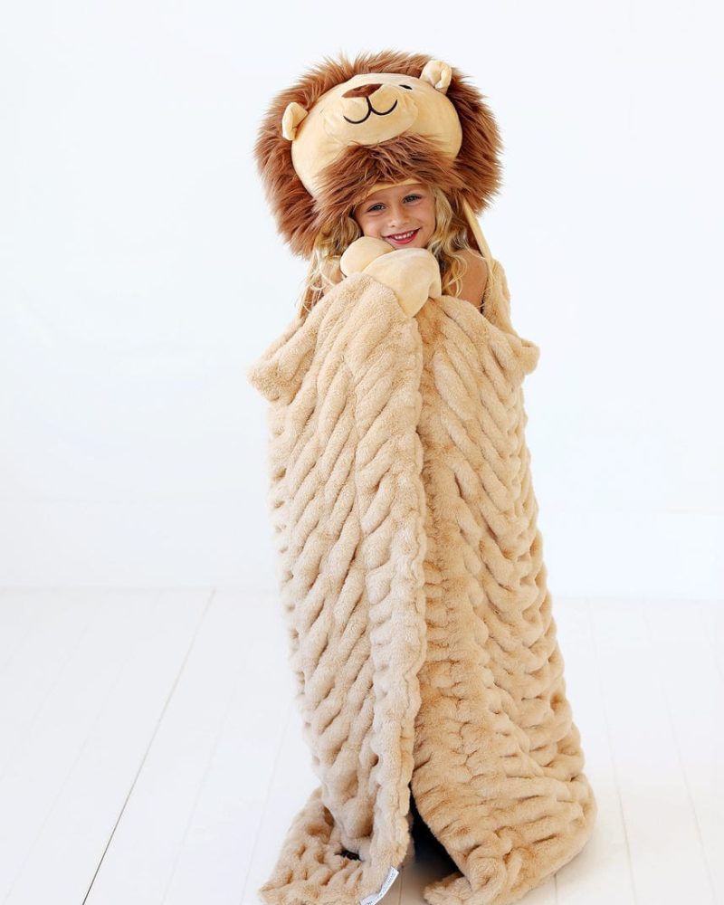 Huggable Lion