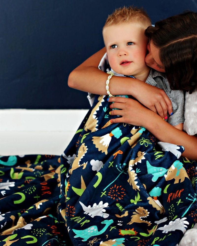 Dinosaur Land Blanket