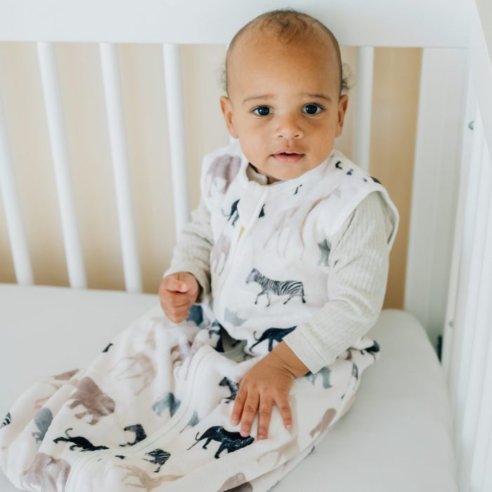 LCSpring2024-47.jpg LCSpring2024-47.jpg