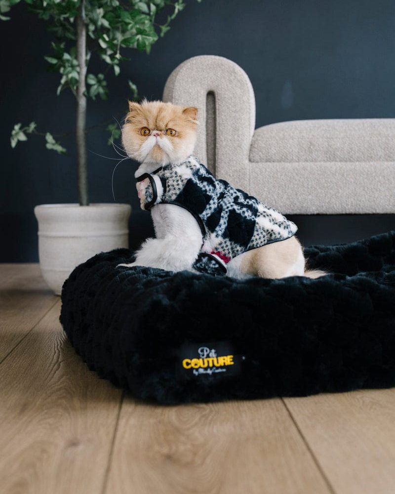 Pet Vest - City Plaid/Cream