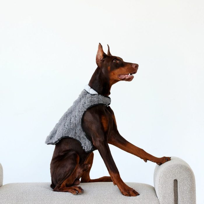 PetVest-Dark_LightGray-Hero.jpg PetVest-Dark_LightGray-Hero.jpg