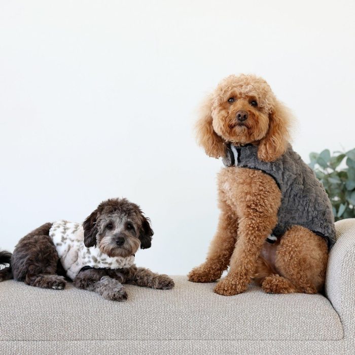 PetVest-Dark_LightGray-Image3.jpg PetVest-Dark_LightGray-Image3.jpg