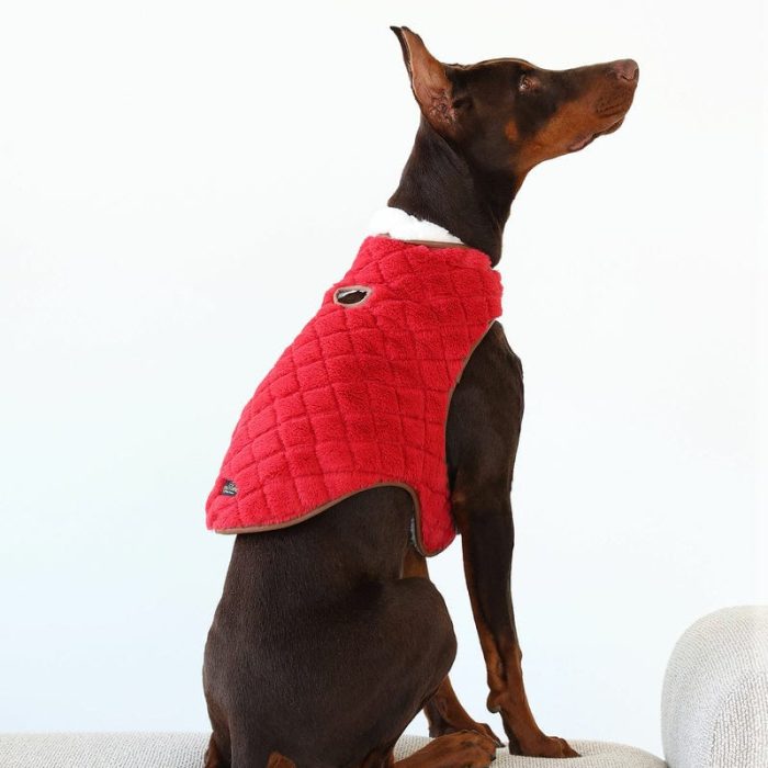 PetVest-Red_Cream-Hero.jpg PetVest-Red_Cream-Hero.jpg