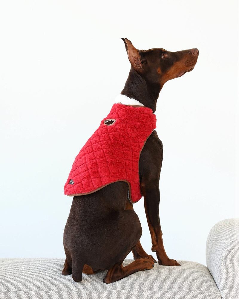 Pet Vest - Red/Cream